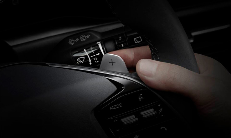 Shift-paddles